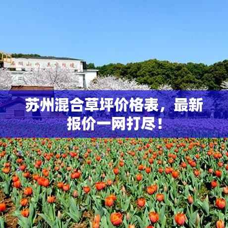 苏州混合草坪价格表，最新报价一网打尽！