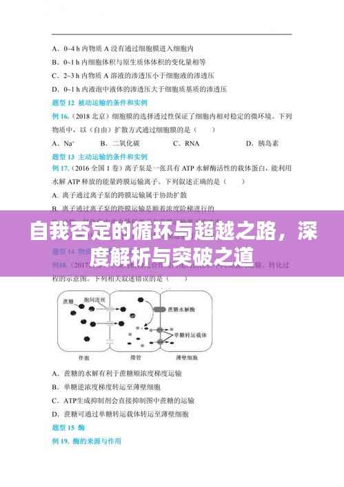 自我否定的循环与超越之路,深度解析与突破之道