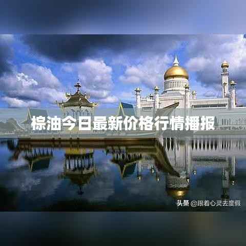 棕油今日最新价格行情播报