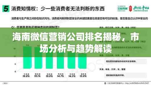 海南微信营销公司排名揭秘，市场分析与趋势解读