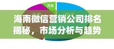 海南微信营销公司排名揭秘,市场分析与趋势解读