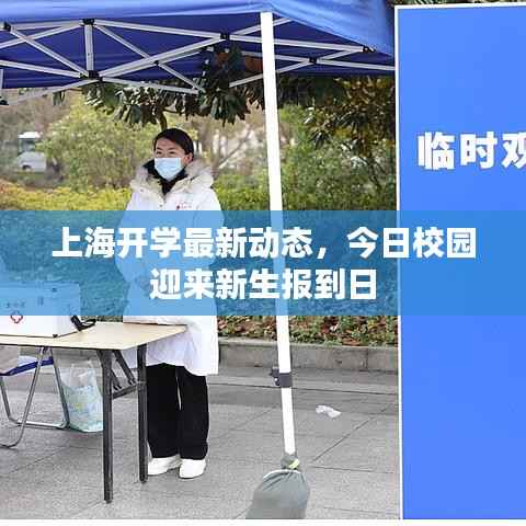 上海开学最新动态，今日校园迎来新生报到日