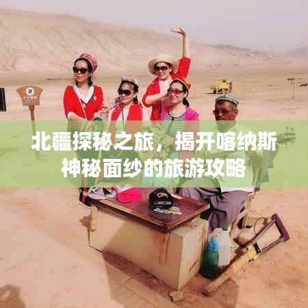 北疆探秘之旅,揭开喀纳斯神秘面纱的旅游攻略