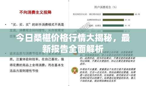 今日桑椹价格行情大揭秘,最新报告全面解析