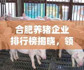合肥养猪企业排行榜揭晓，领先企业一览无余！
