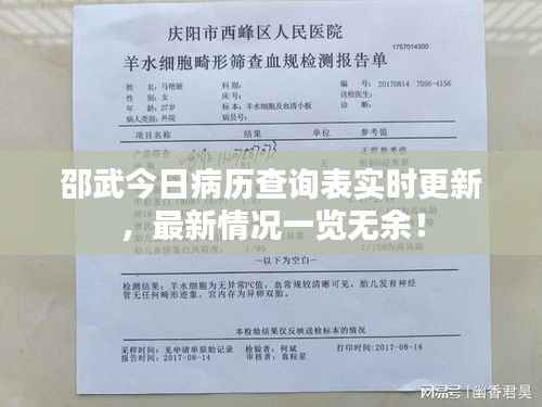 邵武今日病历查询表实时更新,最新情况一览无余!
