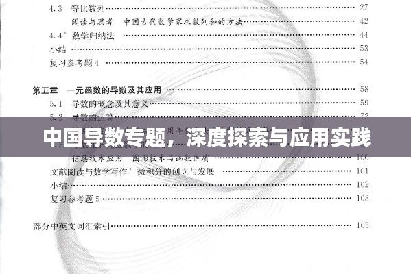 中国导数专题,深度探索与应用实践