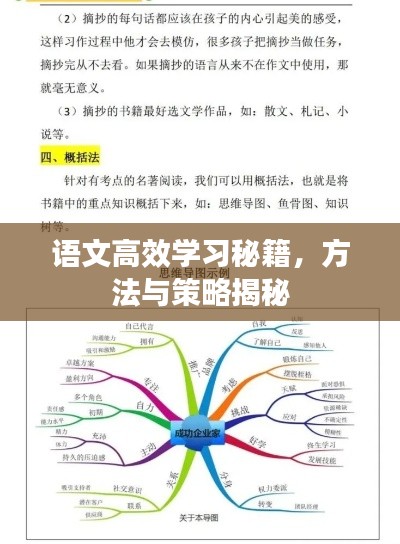 语文高效学习秘籍,方法与策略揭秘