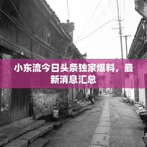 小东流今日头条独家爆料,最新消息汇总