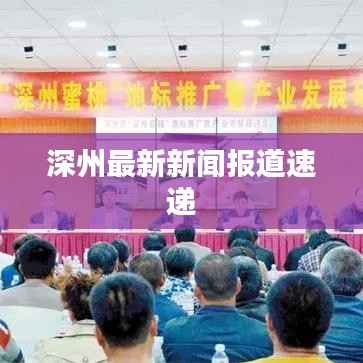 深州最新新闻报道速递