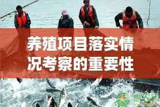 养殖项目落实情况考察的重要性及其深远影响分析