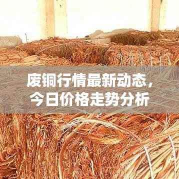 废铜行情最新动态，今日价格走势分析
