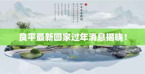 良平最新回家过年消息揭晓!