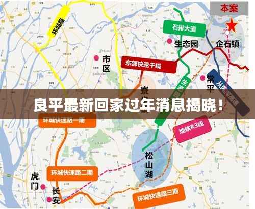 良平最新回家过年消息揭晓!