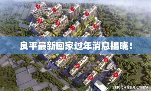 良平最新回家过年消息揭晓!