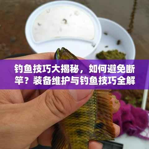 钓鱼技巧大揭秘，如何避免断竿？装备维护与钓鱼技巧全解析