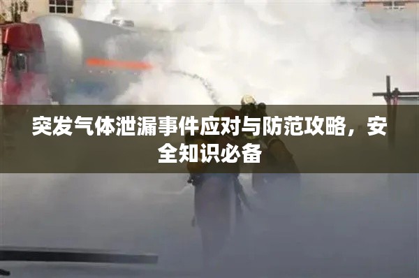 突发气体泄漏事件应对与防范攻略，安全知识必备