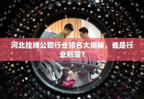 河北挂牌公司行业排名大揭秘,谁是行业翘楚?