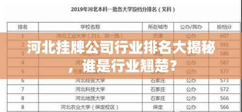 河北挂牌公司行业排名大揭秘,谁是行业翘楚?
