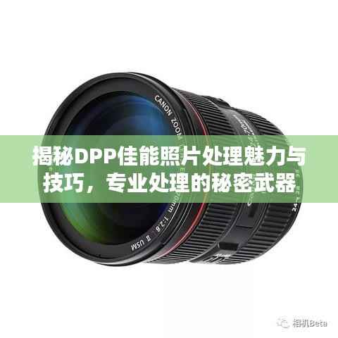揭秘DPP佳能照片处理魅力与技巧，专业处理的秘密武器