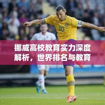 挪威高校教育实力深度解析，世界排名与教育特色探究