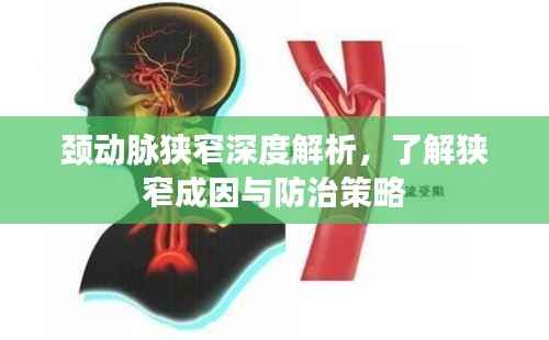 颈动脉狭窄深度解析,了解狭窄成因与防治策略