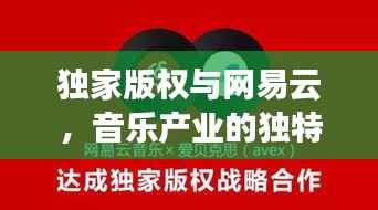 独家版权与网易云，音乐产业的独特洞察