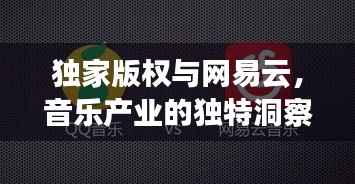 独家版权与网易云,音乐产业的独特洞察