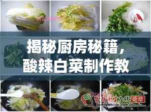 揭秘厨房秘籍，酸辣白菜制作教程——轻松学会，美味随手拈来！