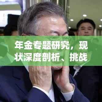 年金专题研究,现状深度剖析、挑战应对及未来展望