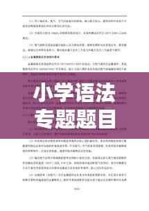 小学语法专题题目深度解析