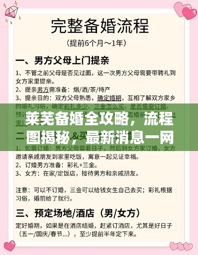 莱芜备婚全攻略,流程图揭秘,最新消息一网打尽!