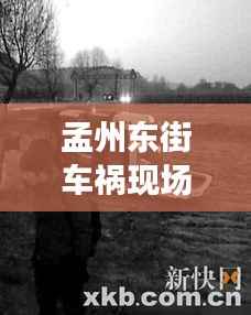 孟州东街车祸现场最新进展,事故细节曝光,伤亡情况不明