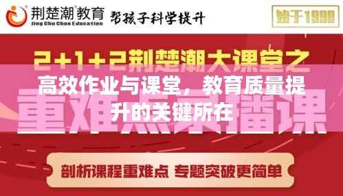 高效作业与课堂，教育质量提升的关键所在