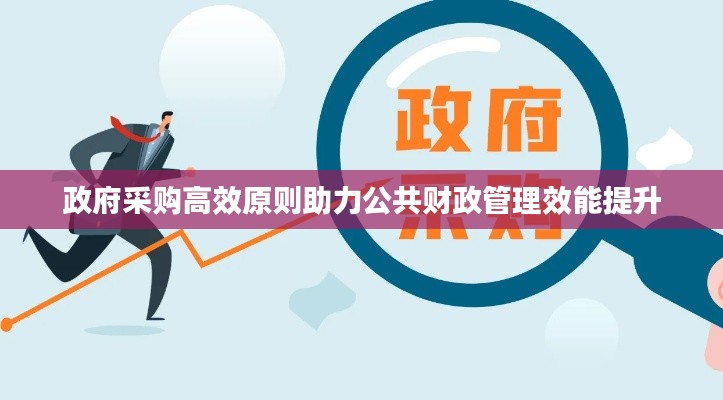 政府采购高效原则助力公共财政管理效能提升