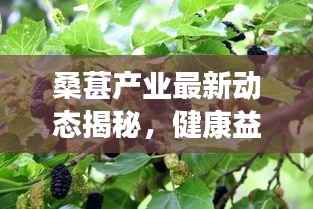 地覆天翻 第3页