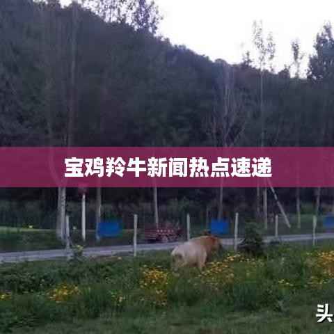 宝鸡羚牛新闻热点速递