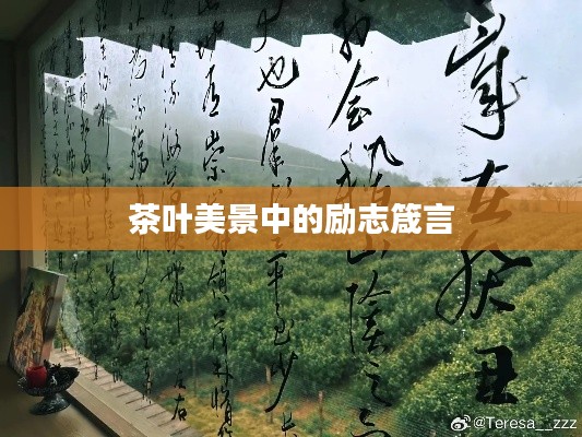 茶叶美景中的励志箴言