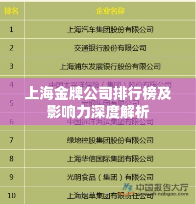 上海金牌公司排行榜及影响力深度解析