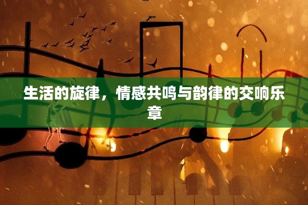 生活的旋律,情感共鸣与韵律的交响乐章