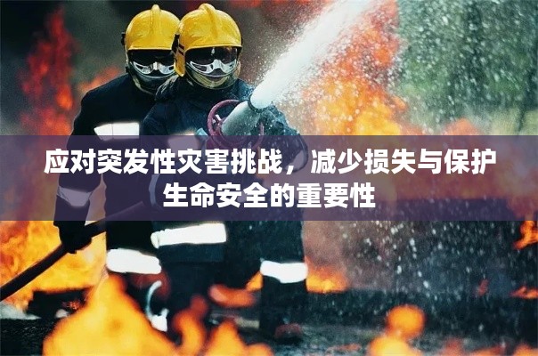 应对突发性灾害挑战,减少损失与保护生命安全的重要性