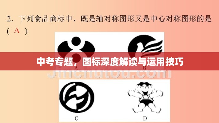 中考专题，图标深度解读与运用技巧