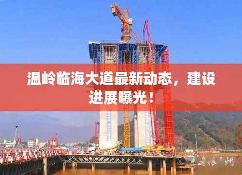 温岭临海大道最新动态,建设进展曝光!