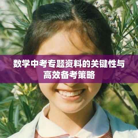 数学中考专题资料的关键性与高效备考策略