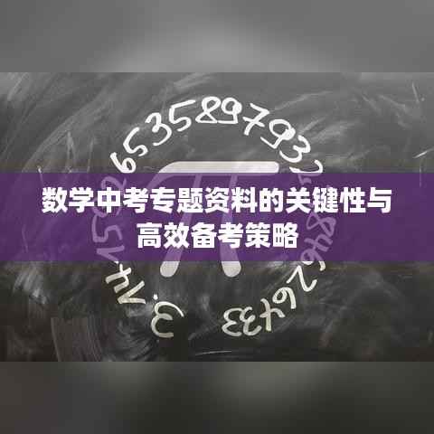 数学中考专题资料的关键性与高效备考策略