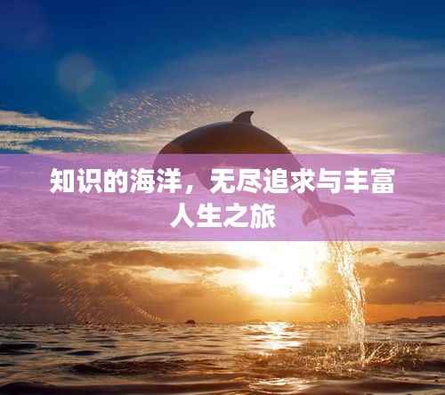 知识的海洋,无尽追求与丰富人生之旅