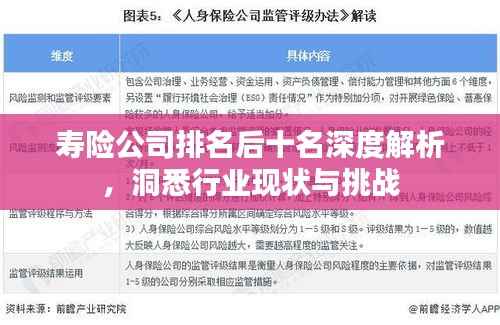 寿险公司排名后十名深度解析,洞悉行业现状与挑战