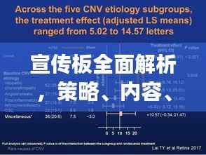 宣传板全面解析,策略、内容、效果及未来展望总结