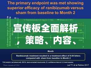 宣传板全面解析,策略、内容、效果及未来展望总结