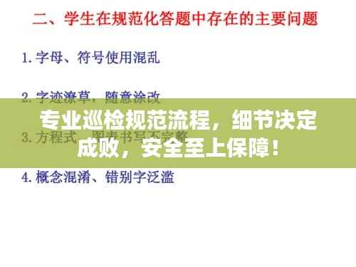 专业巡检规范流程,细节决定成败,安全至上保障!